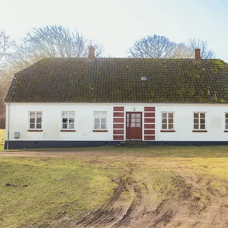 Cattle And Wild Horses At Paogard Skovsgaard Rudkøbing