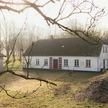 Cattle And Wild Horses At Paogard Skovsgaard Casa vacanze Rudkøbing
