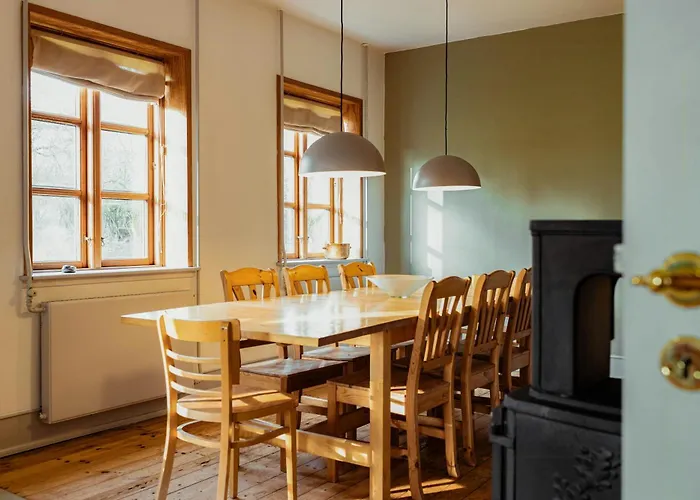 Kvaeg Og Vilde Heste Ved Paogard Skovsgaard