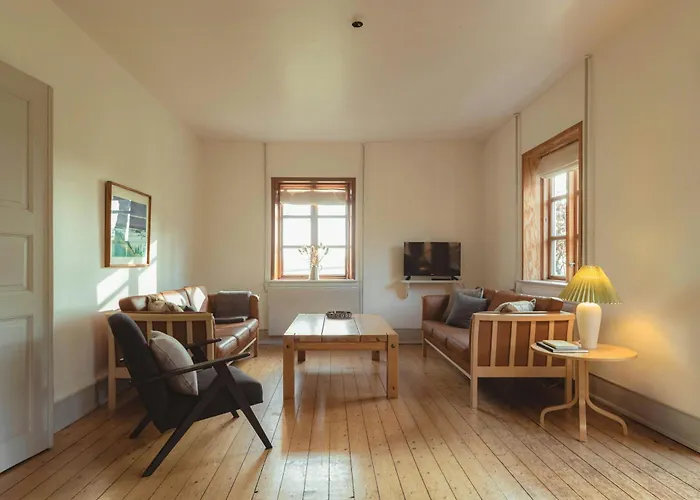 Kvaeg Og Vilde Heste Ved Paogard Skovsgaard Rudkøbing