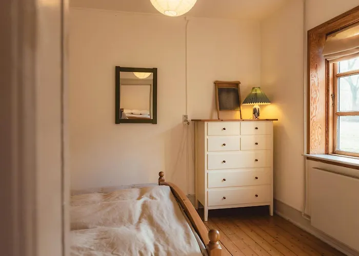 Kvaeg Og Vilde Heste Ved Paogard Skovsgaard Rudkøbing