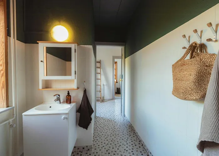 Kvaeg Og Vilde Heste Ved Paogard Skovsgaard *